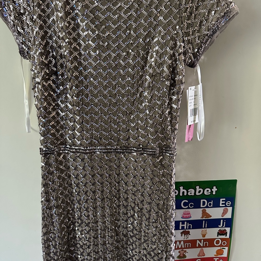 Dress silver